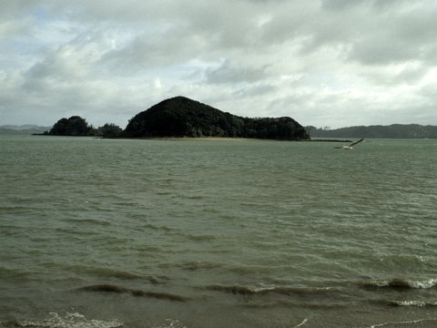Neuseeland Rundreise mit dem Wohnmobil - Februar/März 1999 eCard versenden / [Tag 5 (25-02)] Nordinsel - Paihia/Opononi/Waipoua Forest/Baylys Beach