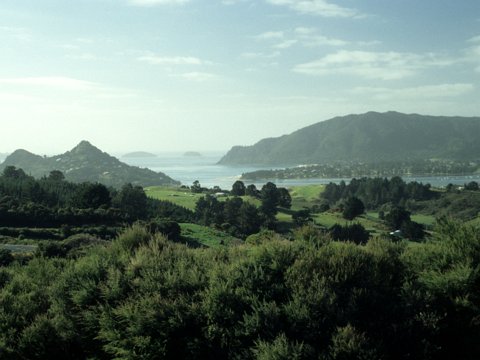 Neuseeland Rundreise mit dem Wohnmobil - Februar/März 1999 eCard versenden / [Tag 8 (28-02)] Nordinsel - Tairua/Hot Water Beach/Cathedral Cove/Coromandel