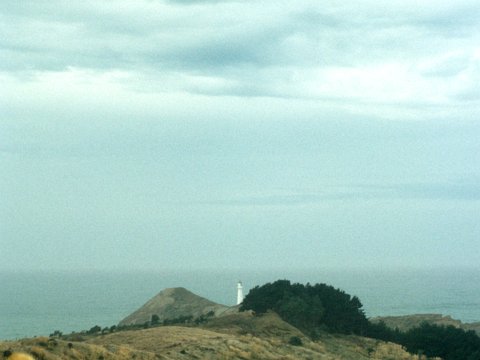 Neuseeland Rundreise mit dem Wohnmobil - Februar/März 1999 eCard versenden / [Tag 14 (06-03)] Nordinsel - Castle Point
