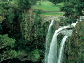 1999-02-24 [Tag 4] Nordinsel - Whangerei Falls/Haruru Falls