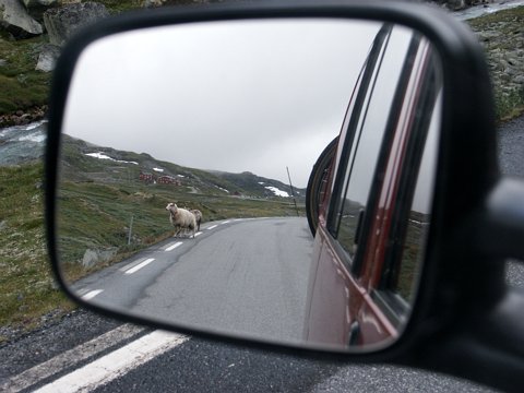 2005-norwegen_0142 eCard versenden / [Tag 9 (27-08)] Ankunft an einem der schönsten Fjorde Norwegens