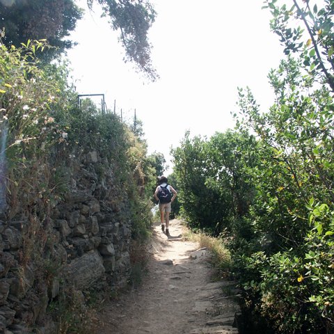 2006-ligurien_0017 eCard versenden / [Tag 2 (26-05)] Wanderung von Monterosso nach Vernazza