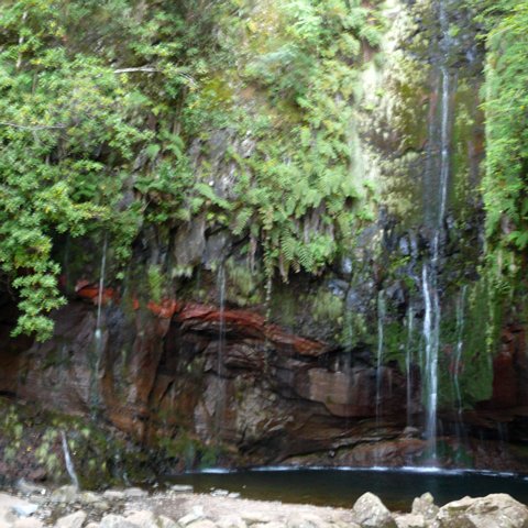 2007-madeira_0094 eCard versenden / [Tag 9 (10-05)] Von Rabaçal zum Risco-Wasserfall und den 25 Quellen