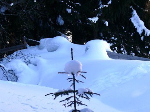 Südtirol (Ridnauntal) - Februar 2012 eCard versenden / [Tag 2 (05-02)] Eingeschneit