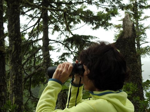 Kanada (British Columbia - Alberta) / August-September 2016 eCard versenden / [Tag 3 (13-08)] Wanderungen im Pacific Rim Nationalpark