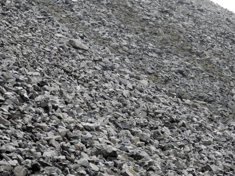 Spitzbergen - Umrundung auf der MS Plancius 23.Juli - 2. August 2017 eCard versenden / [Tag 9 (01-08)] Im Bellsund: Krabbentaucher beim Ingeborgfjellet und Midterhuken